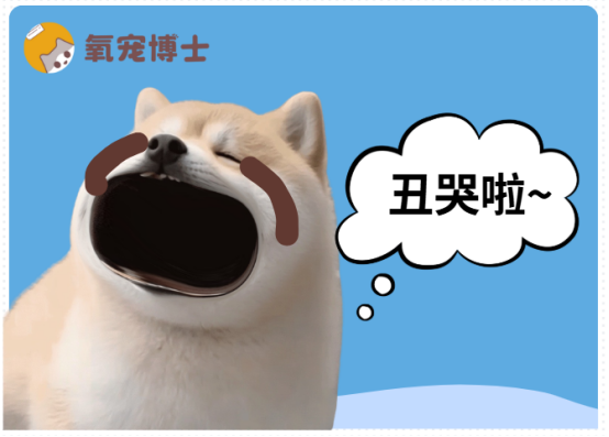 宠物狗有泪痕有啥好的治疗方法？