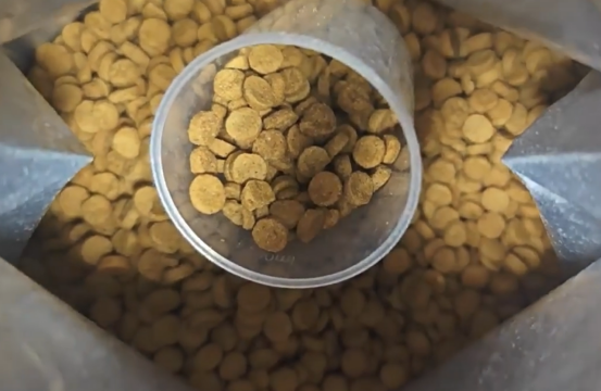 馋不腻狗粮好不好？