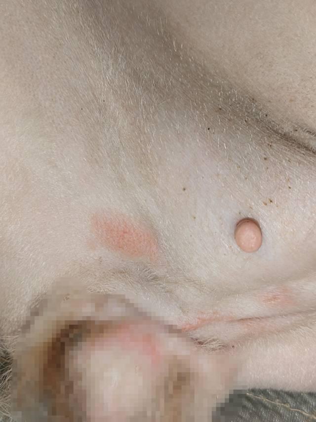 https://s.isdpp.com/images/nFT2tZPASv6spGSh
