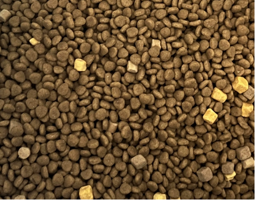 好主人狗粮测评