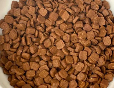 嘉传猫粮怎么样