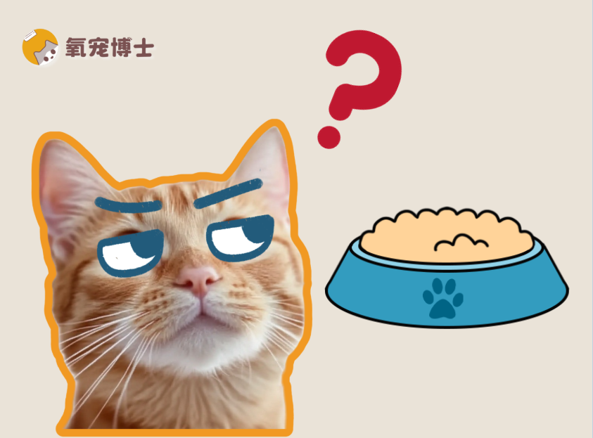 猫咪多久换一次粮比较好？