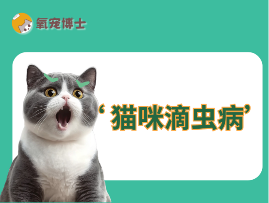 猫咪滴虫病