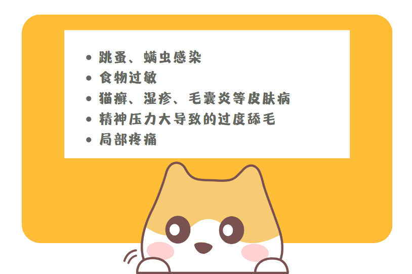 小貓老是舔毛是皮膚病嗎？