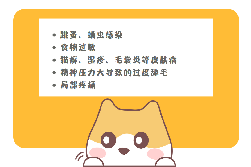 小猫老是舔毛是皮肤病吗？