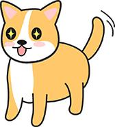 狗狗很笨的表现