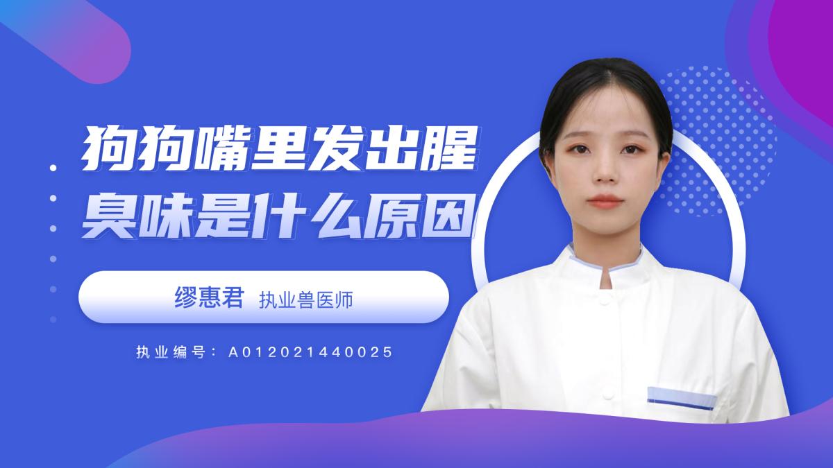 狗狗的嘴里发出腥臭味是什么原因？