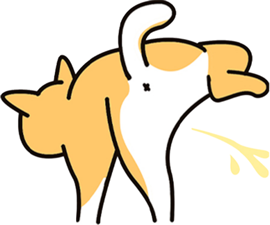 狗狗小便带血怎么回事