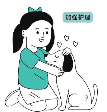 博美犬不长毛皮肤变黑怎么办？