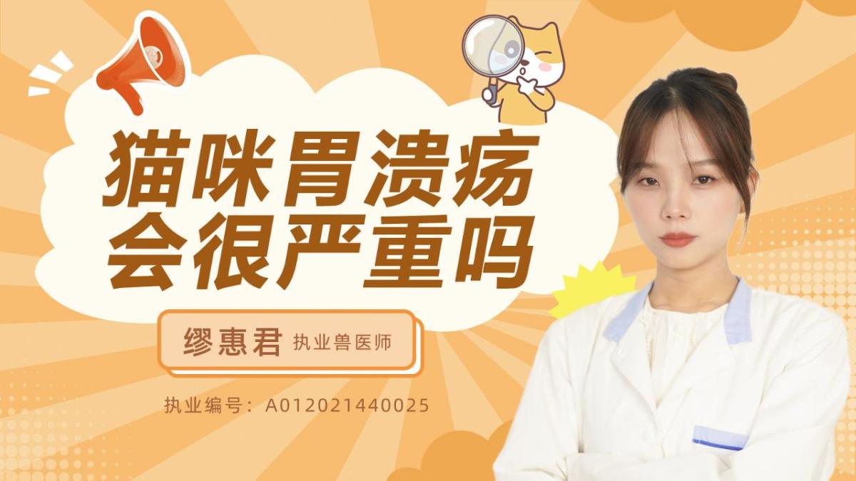 猫咪胃溃疡会很严重吗？
