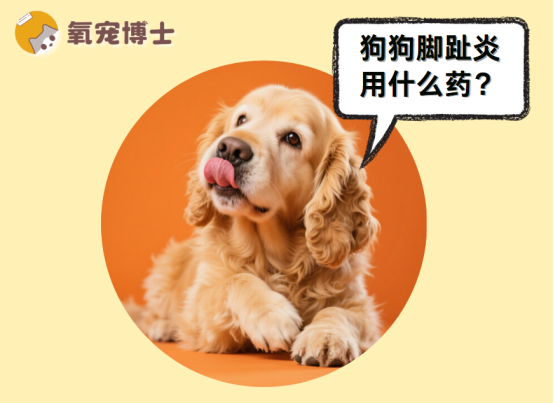 狗狗脚趾炎用什么药
