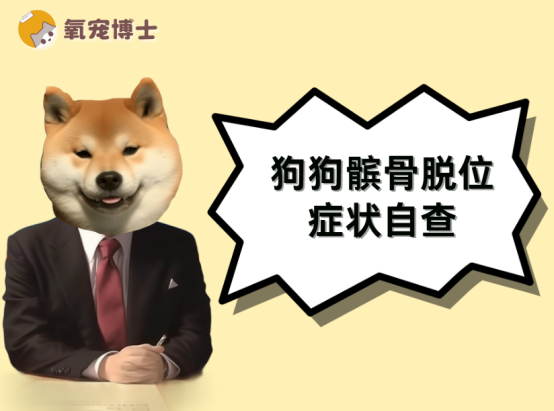 小型犬高发！警惕狗狗髌骨脱位的症状，看完赶紧自查