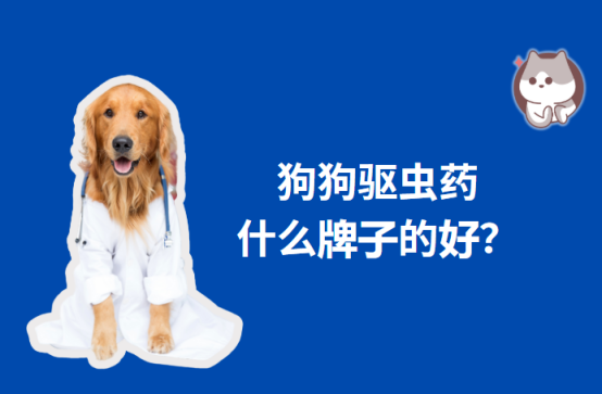 狗狗驱虫药什么牌子的好？