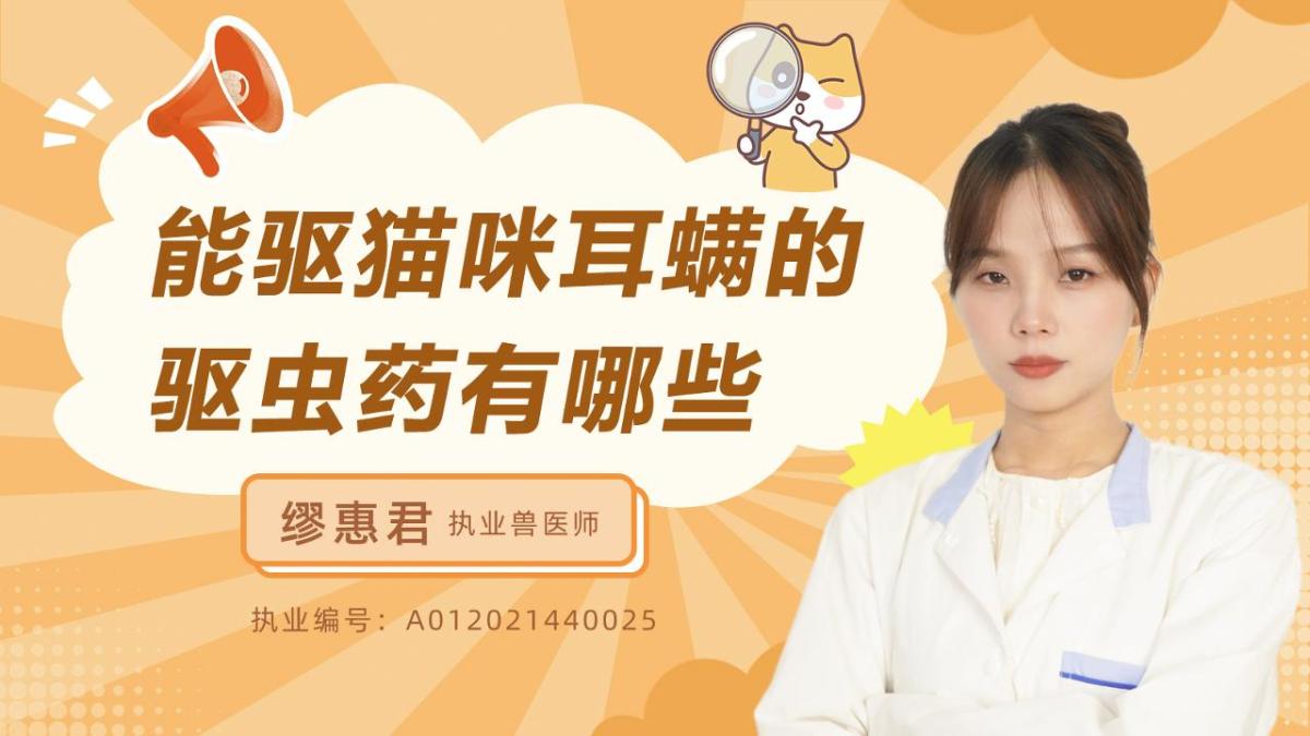 能驱猫咪耳螨的驱虫药有哪些？