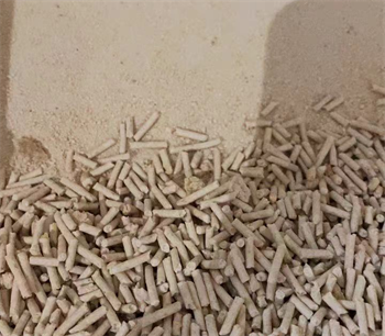 宠幸豆腐猫砂测评