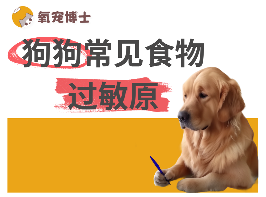 警惕！这些都是常见的狗狗食物过敏原！
