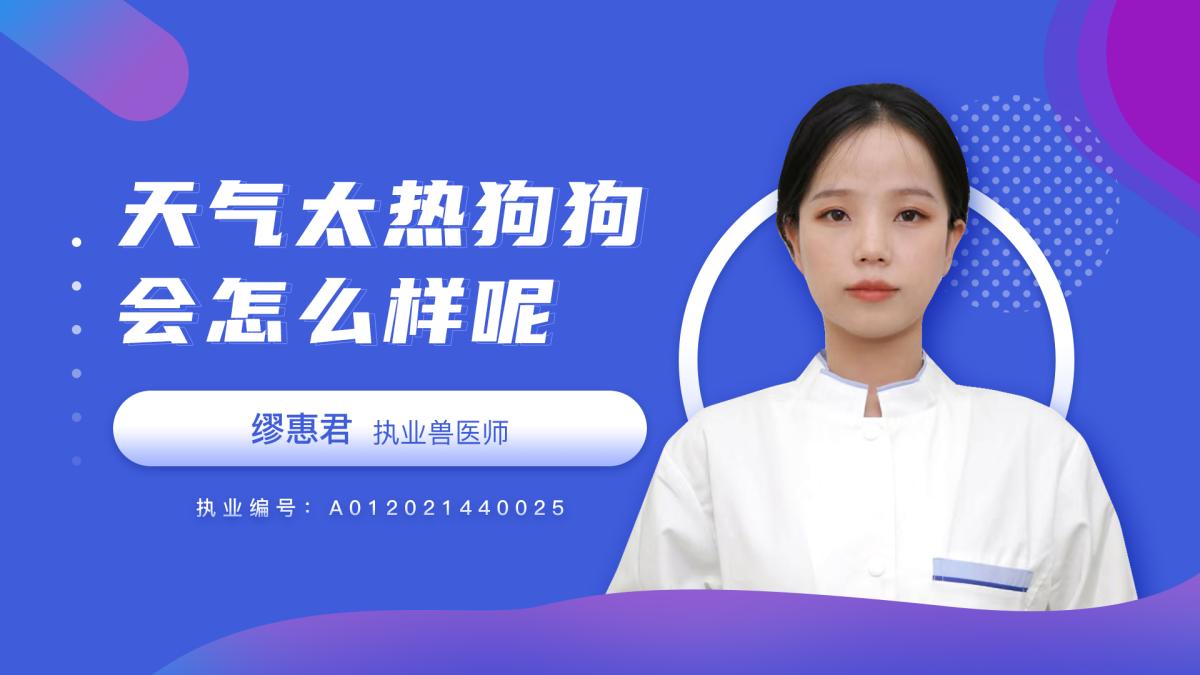 天氣太熱狗會怎麼樣?