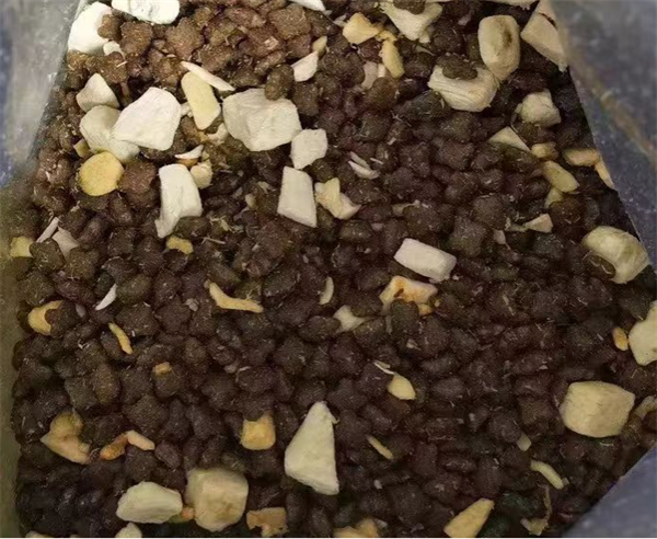 wowo猫粮怎么样