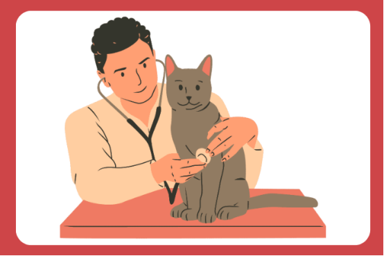 猫咪尿路感染吃什么药效果好