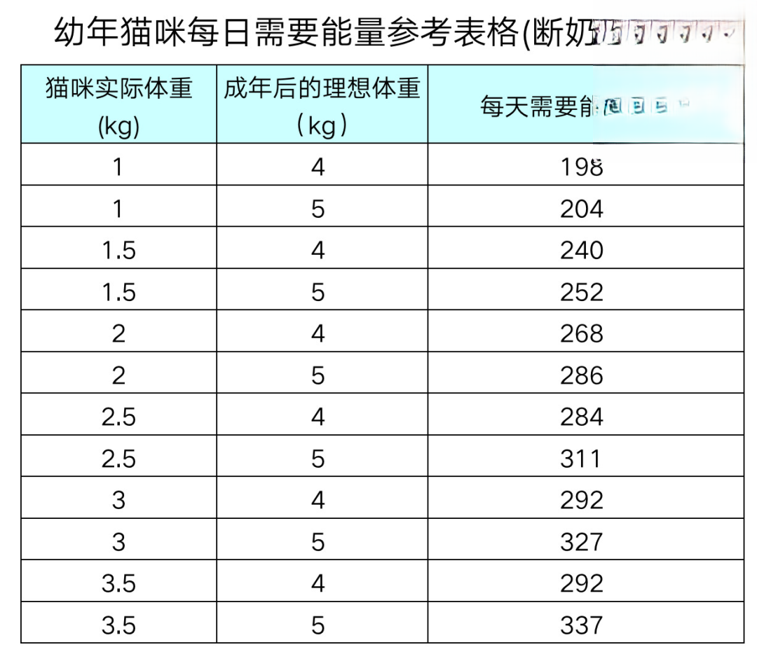 貓咪每天能吃多少貓糧