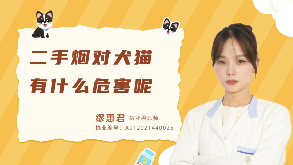 二手烟对犬猫有什么危害呢？