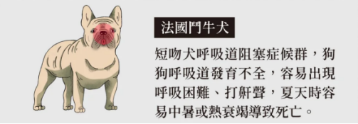 狗狗呼吸急促的原因