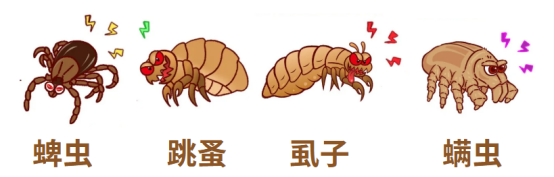 狗狗体外驱虫