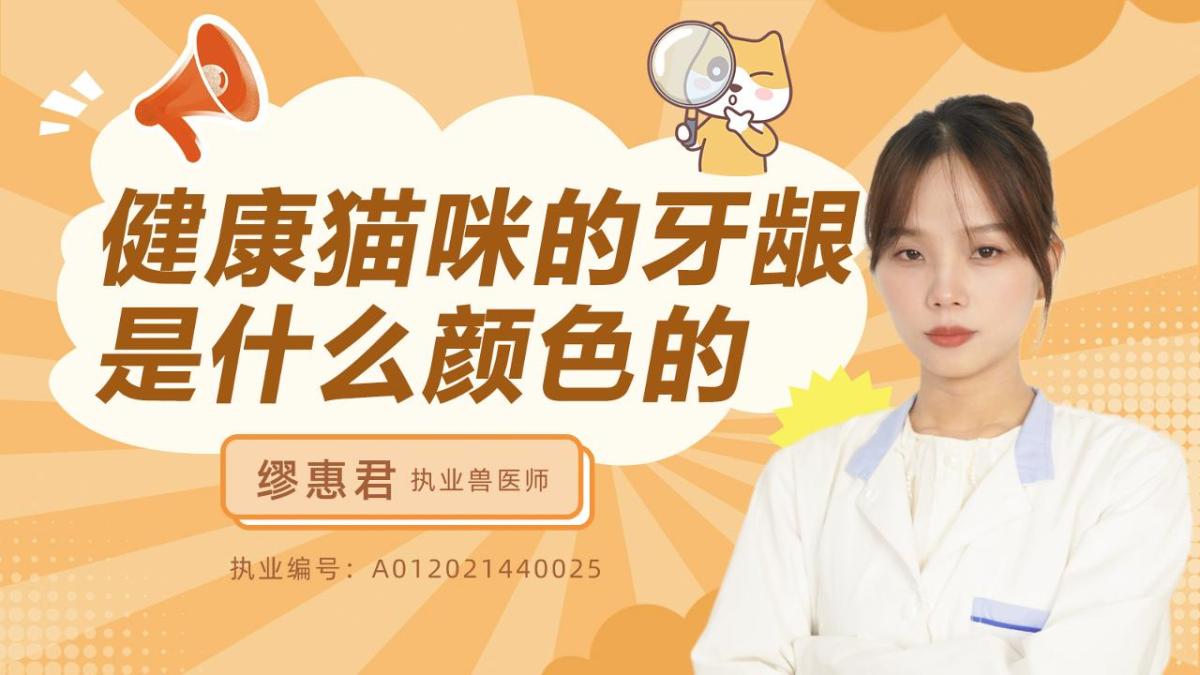健康猫咪的牙龈是什么颜色的呢？