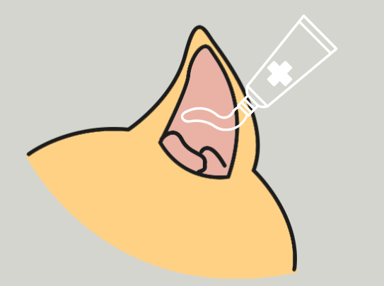 猫咪有耳螨怎么治疗？