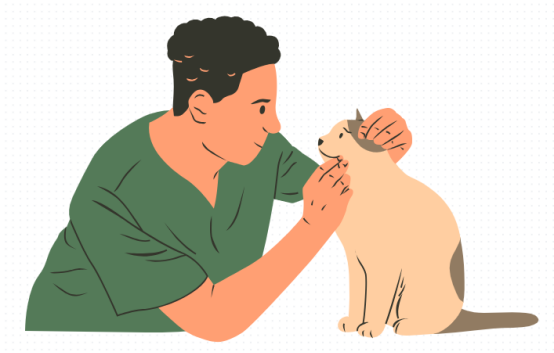 2个月的小猫感冒了吃什么药？