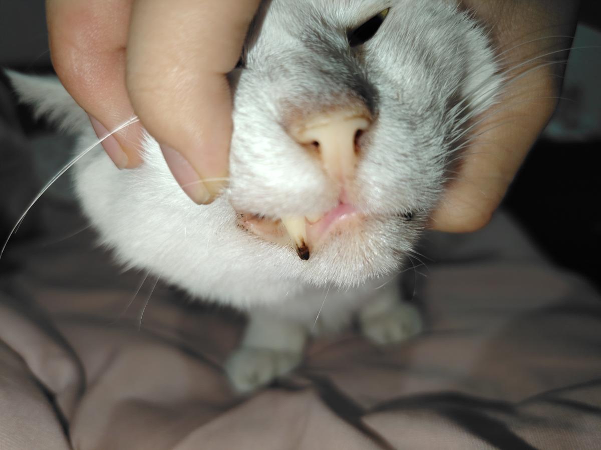 https://s.isdpp.com/images/pOmlzWsosQtpTxYg