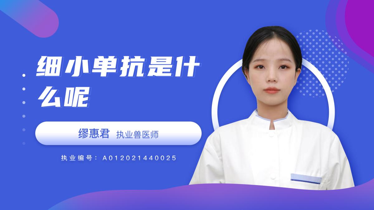 细小单抗是什么呢？