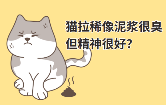 猫拉稀像泥浆很臭但精神很好是怎么回事？