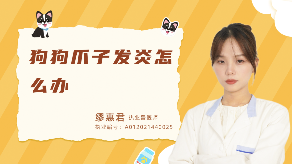 狗狗爪子發炎了怎麼辦？