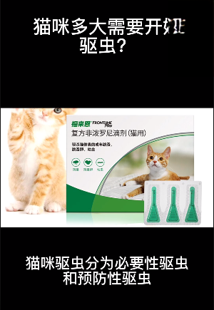 猫咪多大需要开始驱虫？