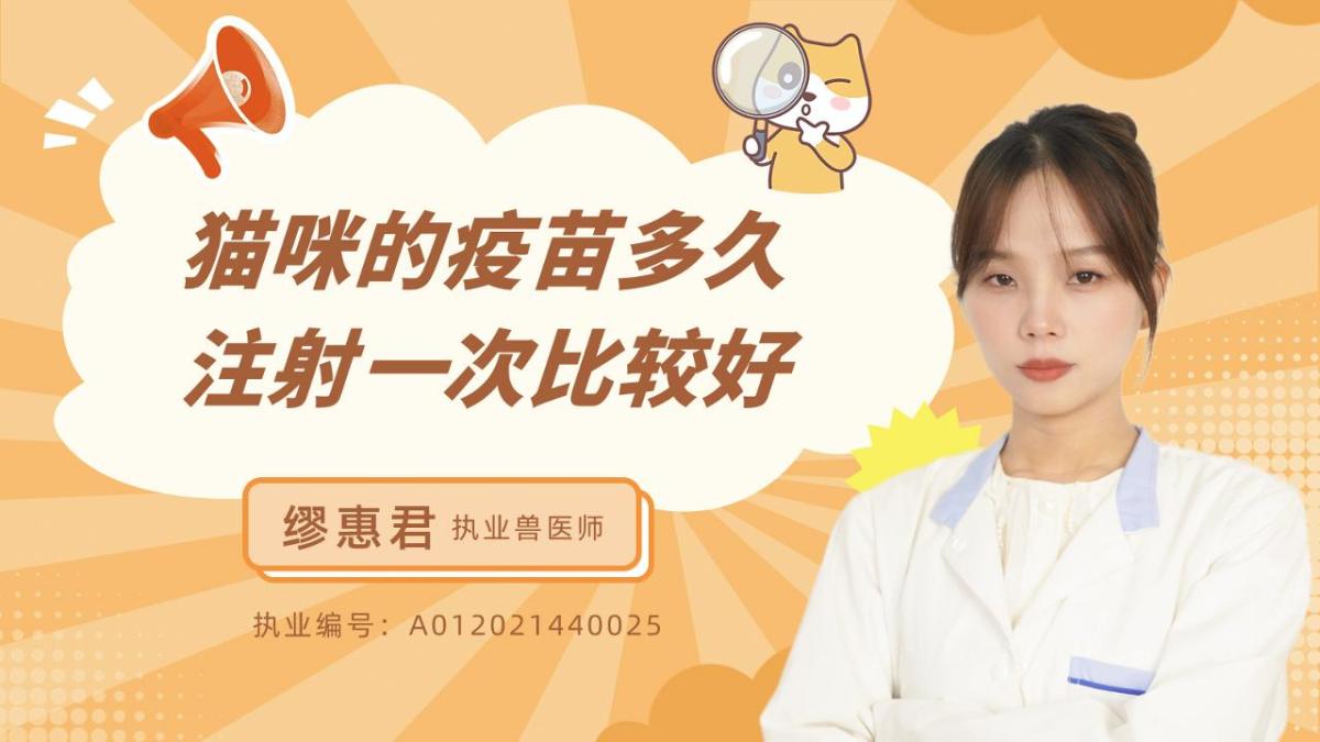 猫咪的疫苗多久注射一次比较好？