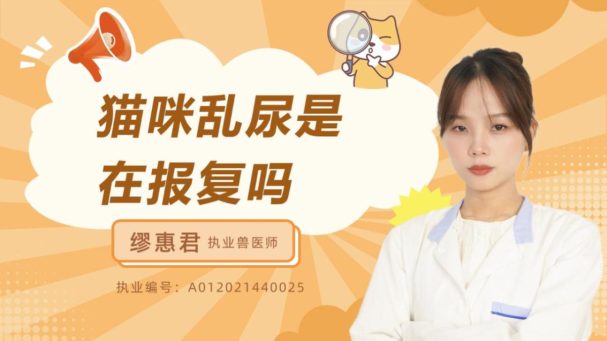 猫咪乱尿是在报复吗？