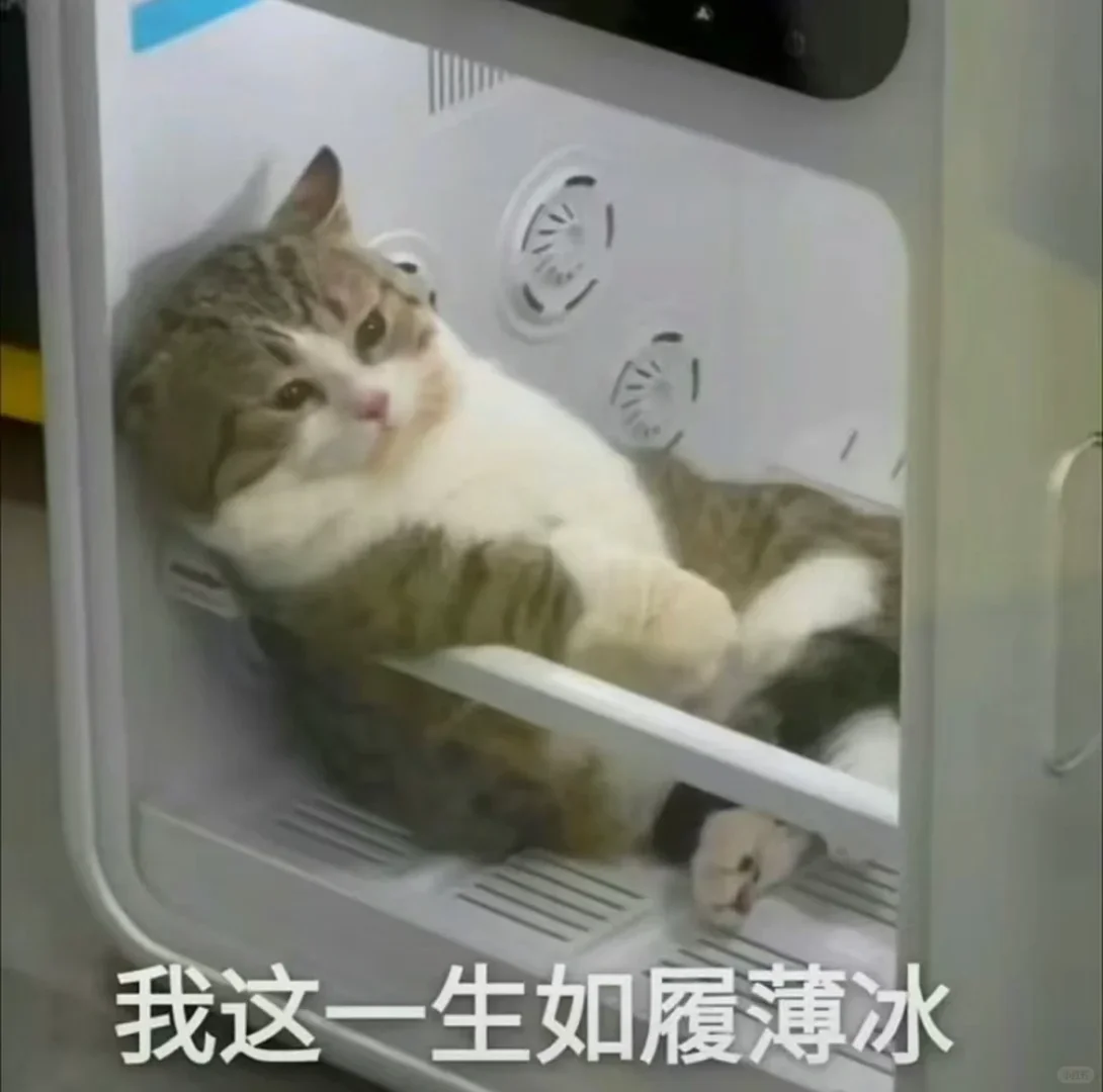 猫癣能自己自愈吗？