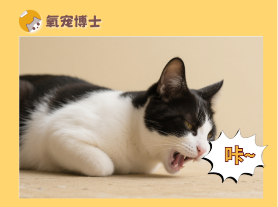 猫猫一直发出卡喉咙的声音