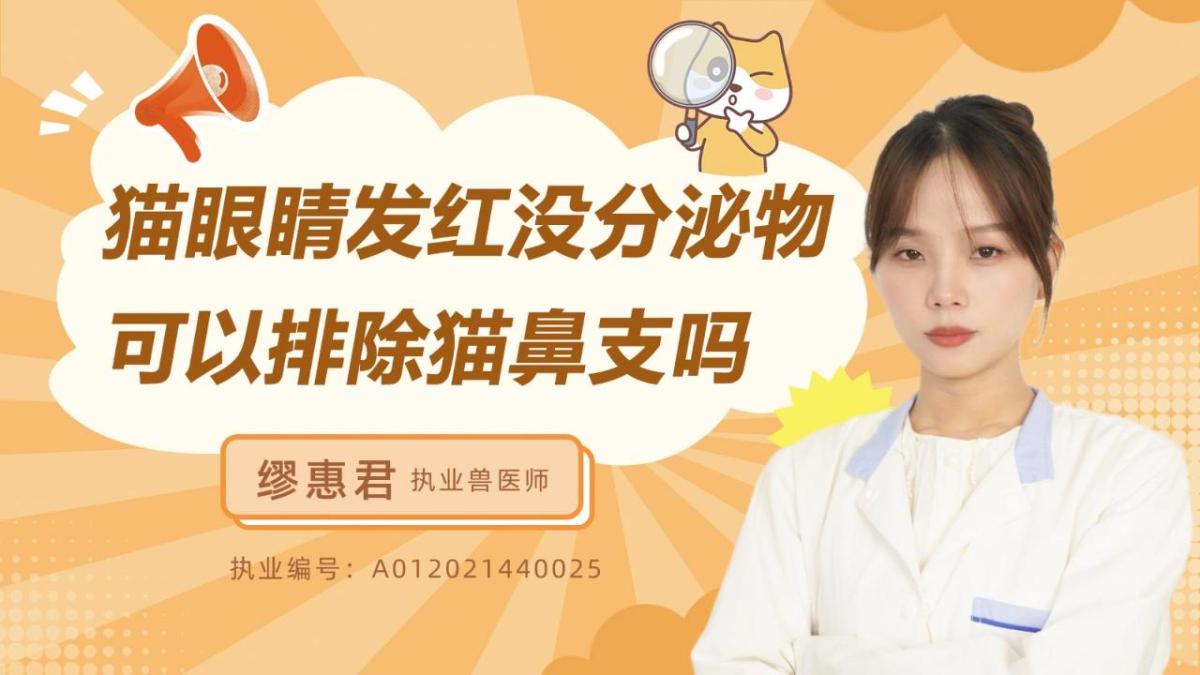 猫咪眼睛发红但没分泌物可以排除猫鼻支吗？