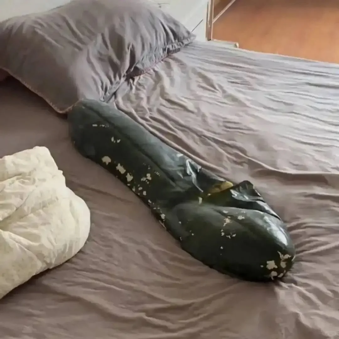 猫咪抱冬瓜降温有用吗？