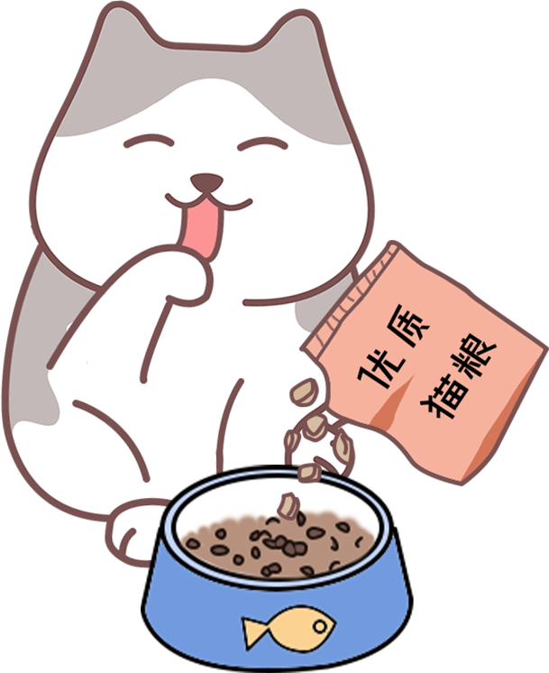 小猫吃撑了呕吐怎么办？