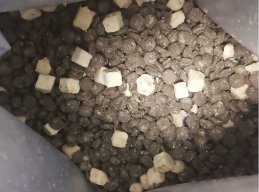 乐顿新鸽肉蔬果狗粮怎么样？