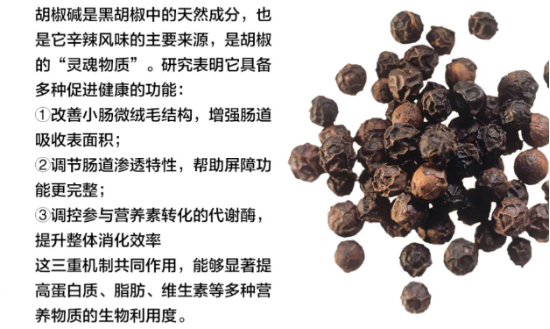 倔强嘴巴猫粮怎么样？