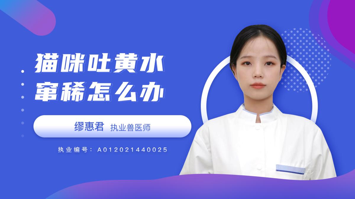 貓咪吐黃水竄稀怎么辦？