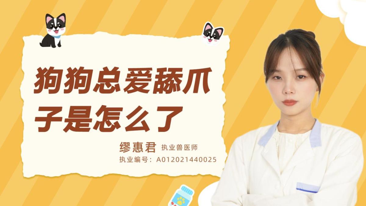 狗狗总爱舔爪子是怎么了?