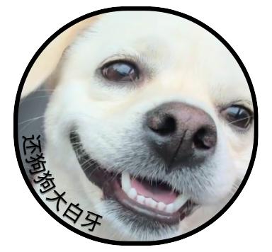 泰迪口臭難擋，幾招去除口臭！