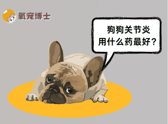狗狗关节炎用什么药最好？