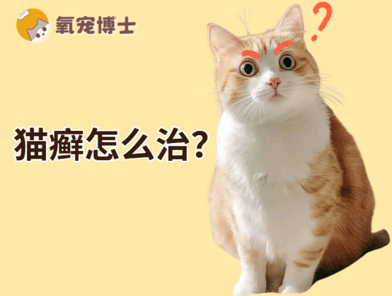 貓得了貓癬怎么辦？
