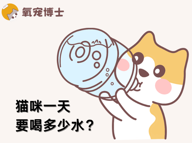猫咪每日的饮水量标准：少一口都是隐患！
